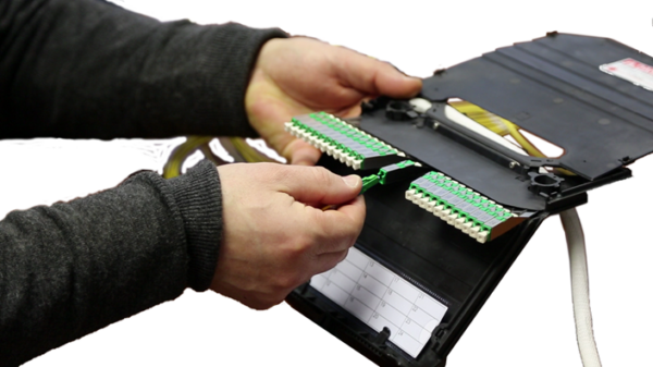 <div id=Cassettes>PEACOC® FleT Preconfigured Cassettes</div>